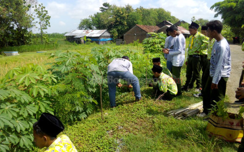 Bhakti Sosial, PMR Attanwir Tanam Pohon